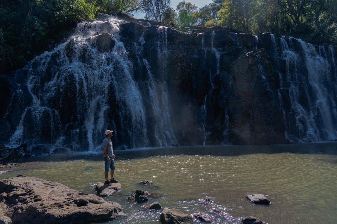 Reserva Natural Iguazu - Pristine Luxury Camp Puerto Libertad Exteriör bild